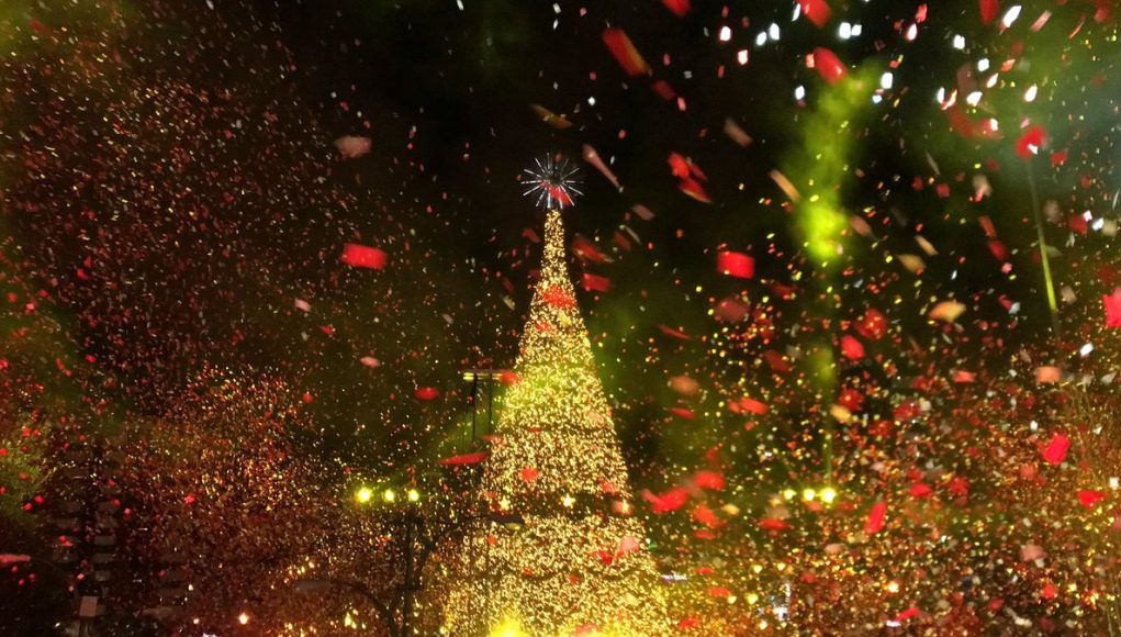 ´Festival Árbol Gallo encenderá la Navidad el 13 de noviembre